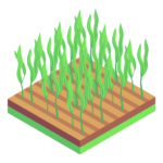 Food & Agriculture